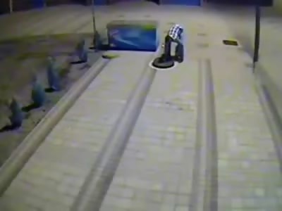 Sick Twisted Asshole Throws Dog into a Sewer and Leaves