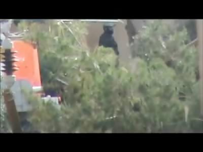 Soldier Urinating in the Woods is Shot Dead by Sniper..Hanging Laundry, taking a Piss, your Safe Nowhere