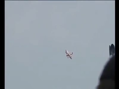 Female Daredevil Wing Walker Crashed and Burned in Horrible Plane Accident