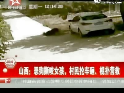 People Come the the Rescue of a Little Girl in China when She is Brutally Attacked by a Dog