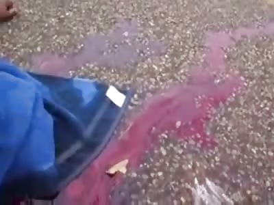 Dead Carnage and a Gallagher Smashed Mellon on Some Poor Dude