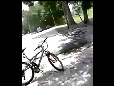 Abuse...Crazy Black Guy attacks Girl sitting at Picnic Table
