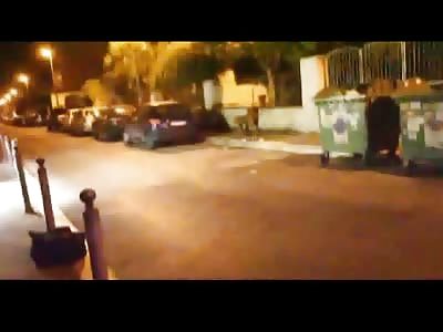 BEYOND CRUEL: Police in Rome Tie a Mastiff to a Fence and Watch it Choke to Death