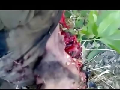 Back of this Rebels Head is Removed in Brutal Attack