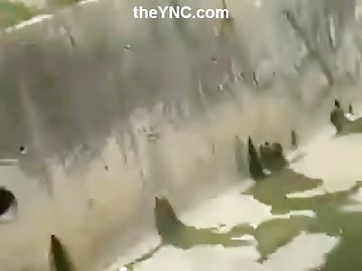 Man is Robbed after he Jumps to his Death (Jump and Robbery)