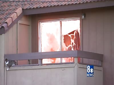 Amazing Cat Jumps from Top Floor to Avoid Being Burned to Death