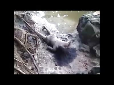 Teen Girl with a Lot of Hair found Washed up by the Rivers Edge apparently Murdered