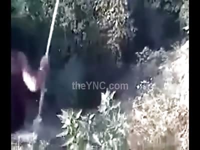 Don't Ever Trust a Rickety Swing in the Forest.....This Chick Does