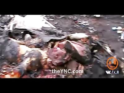 Uncensored Footage of Victims of Todays Malaysian Airline being Shot Down 