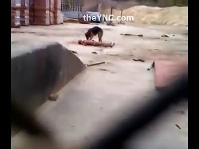 Just a Big Dog Eating a Dead Man who Jumped the WRONG Fence to try to Steal 