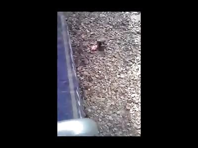 Little Kid Wasn't Faster than the Train.....Brain Matter Next to Rail