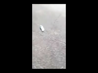 Drunk Day Drinker Runs to Try to Get Rid of Evidence of Bacardi Rum