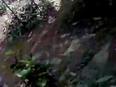 Extremely Sad Video of Three Kids Electrocuted to Death in Power Lines Fire (Video is Graphic) 