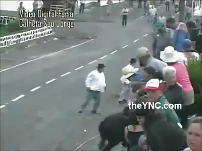 In a Very Rare Video a Bull Literally Commits Suicide ... Watch How he Does it!