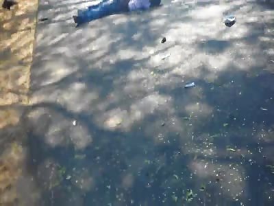 Limbless Ex Biker Lays Dead