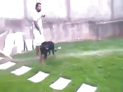 it almost had a happy ending