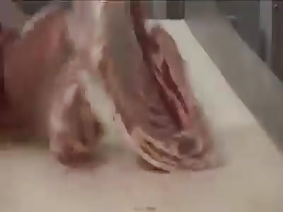 slaughterhouse hi tech