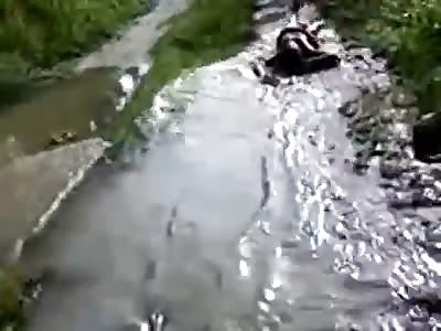 More a rapist being treated well in Brazil 