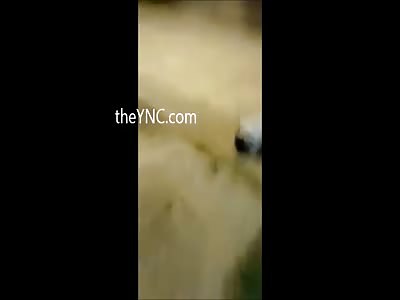 Man's Head Explodes After Several Shots in this Brutal Execution