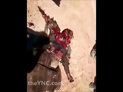 Having a bad weekend? Maybe some dead rats can make you feel better...