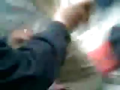 Animals!! (volume warning)