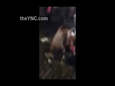 Half Naked Girl Fight in the Street, they Try to Be Classy but No..They're Not 