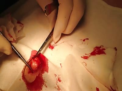 Invasion of the boiled egg aliens!