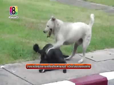 Don't leave me this way friend.