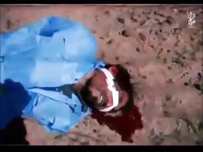 Stars of the YNC #113