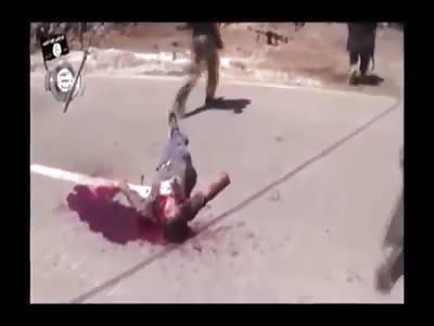 Stars of the YNC #36