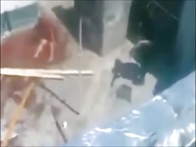 Stars of the YNC #57