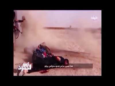 Stars of the YNC #54