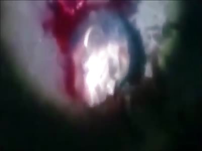 Stars of the YNC #130