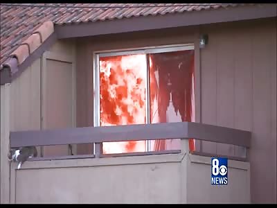 Stars of the YNC #14