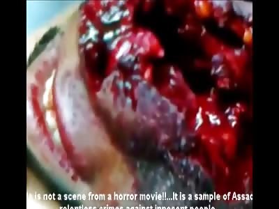 Stars of the YNC #85