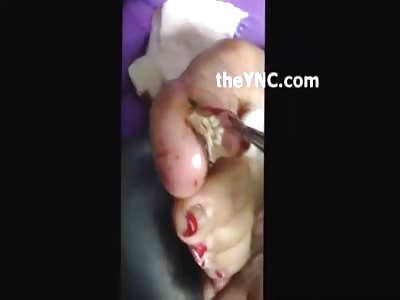 Stars of the YNC #33