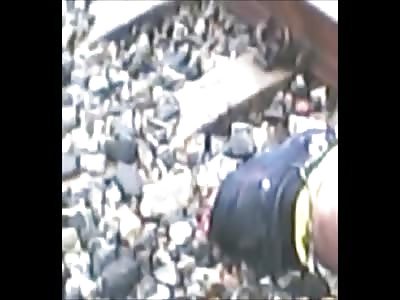 Stars of the YNC #106