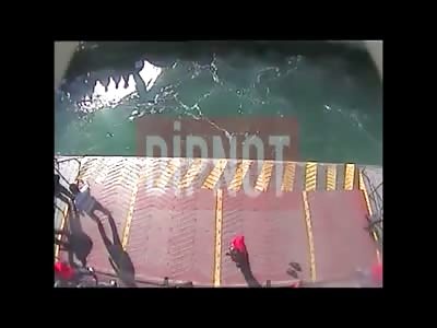 Stars of the YNC #43