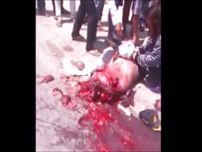 Stars of the YNC #81