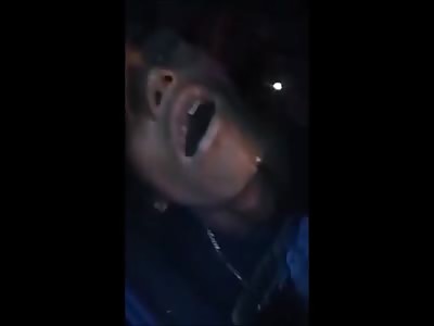 Stars of the YNC #141