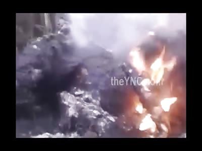 Stars of the YNC #143