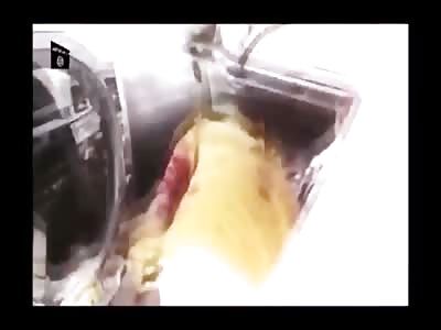 Stars of the YNC #67