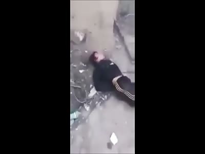 Stars of the YNC #138