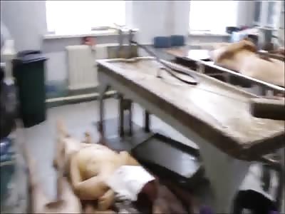 Stars of the YNC #80 