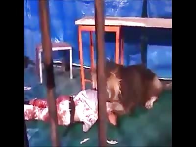 Stars of the YNC #60