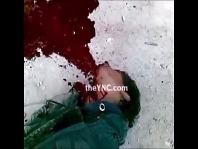 Stars of the YNC #91