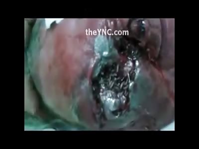 Stars of the YNC #112