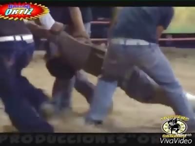 BULL WINS: Mans Head is Crushed Under Bulls Powerful Hoove