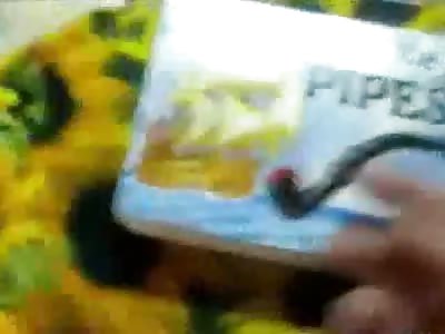 A_Weeg_Without_there_Make-up-Edited.avi