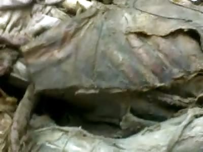 check out the morgue in Honduras